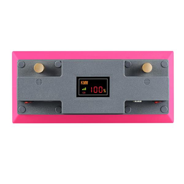 LiFePO4 Lithium Iron Phosphate Battery 12V 100Ah LiFePo4 Battery Pack For Boat Motor