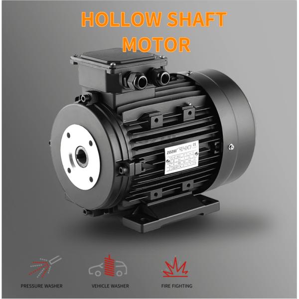 hollow shaft electric motor