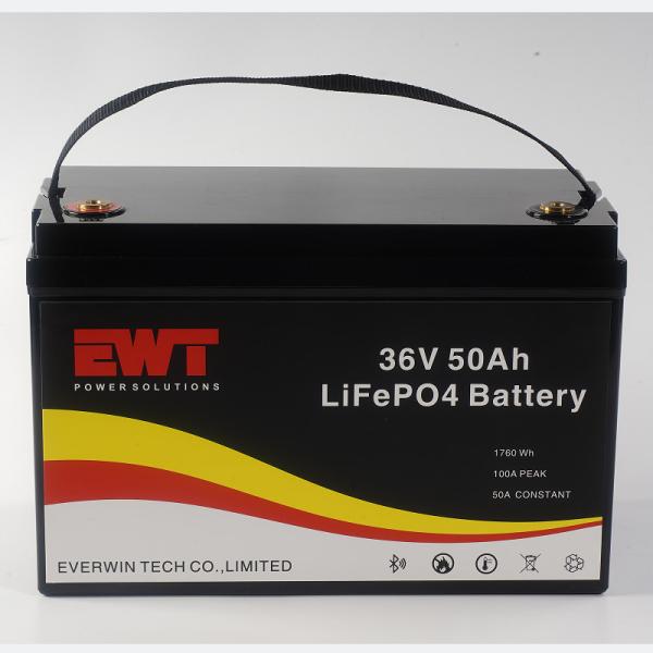 1760Wh Output Power Deep Cycle Lifepo4 36v 50ah Lithium Ion Battery Pack For Electric Bicycle