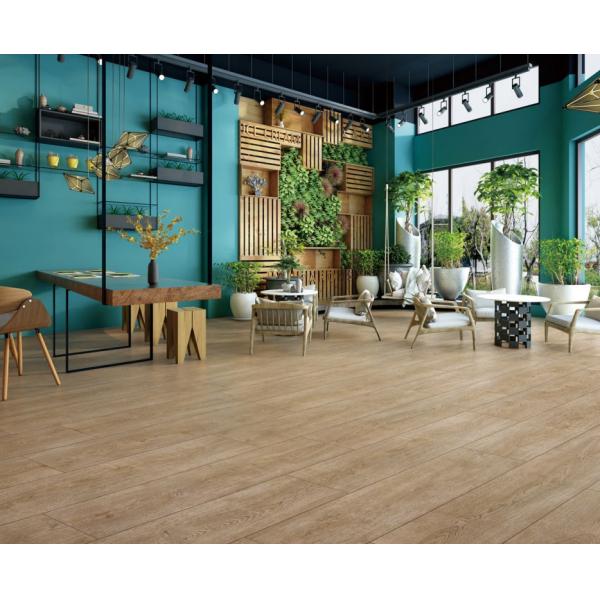 250x1500mm Wooden Porcelain Tiles Beige Cream Oak Tree Design