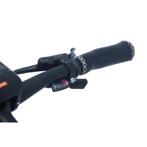 350w Portable Folding Electric Bike Hub Motor E Bike With Removable Battery 36V 10Ah