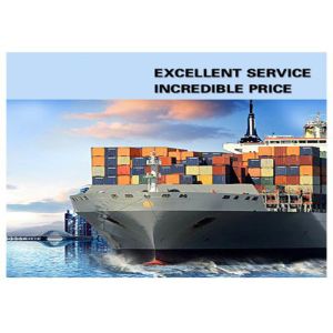 China Container Shipping From China To Oceania Freight Forwarder wholesale