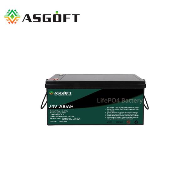 Smart BMS 8S1P 200Ah 24V Lithium Battery Pack Batt AU Lithium Iron Phosphate