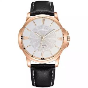 ROHS Leather Strap Watches 20mm 3atm Water Resistant Quartz