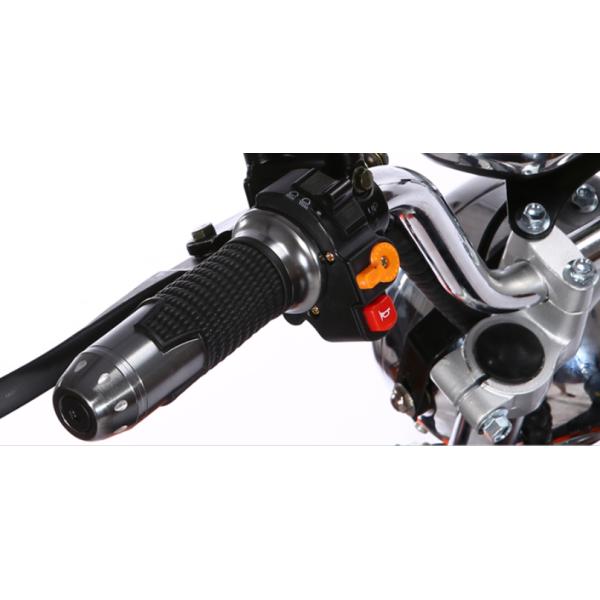 Eec Coc European Electric Scooter 120kg Long Range City Coco Fat Tire Scooter