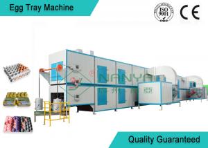 China Biodegradable Recycled Paper Egg Tray Machine with 3000Pcs / H Capacity on sale