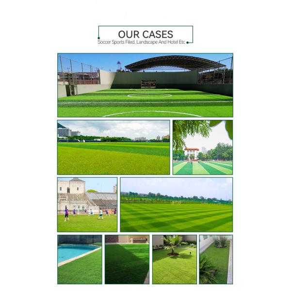 Backyard Plastic Grass Artificial Grass Mat For Wall Decoration And More Pile Height 10mm Gauge 5/32” Inch