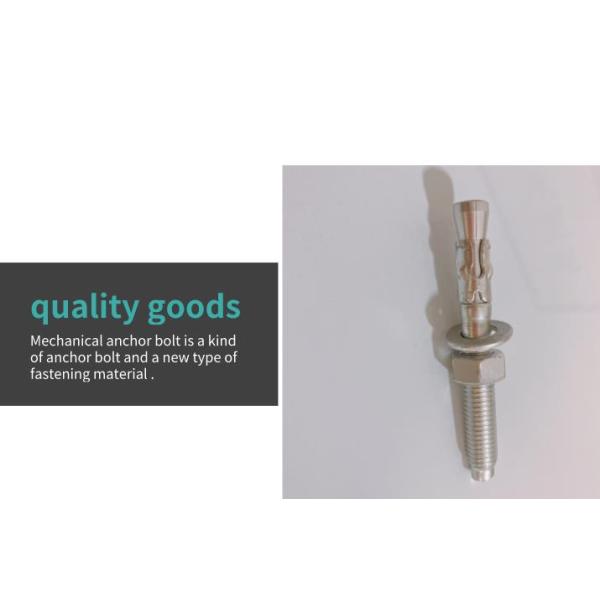 304 Concrete Expansion Anchor Bolts Anchors Through Bolt Wall Wedge 12mm