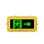 Customized Rechargeable Emergency Light 2W AC220V Explosion Proof LED Emergency
