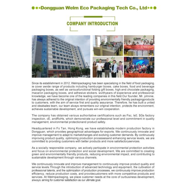 Biodegradable Burger Hamburger French Fries Boxes Package Customized Shape