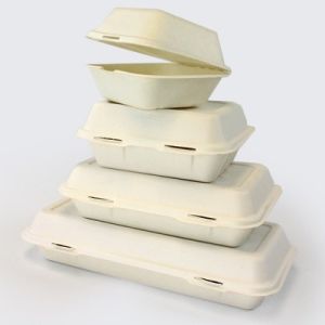 Eco Food Serving Tools Biodegradable 1000ml Takeaway Food Container