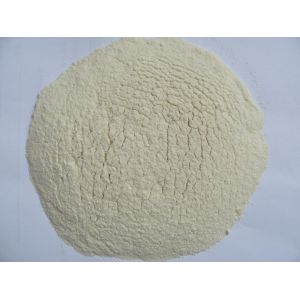 China pure white dehydrated garlic powder wholesale
