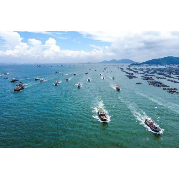 50/60HZ Frequency 100KW/125KVA Weichai Marine Diesel Generator Water Cooled Method