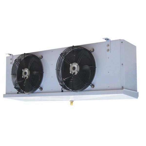 Freezer Container 20FT Cold Storage Room Deep Freezer Cold Room