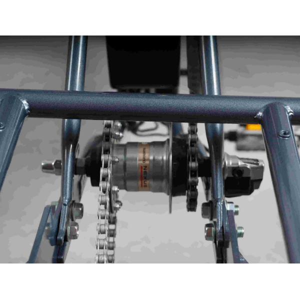 20km/H 35km Pedal Assist Adult Tricycle 36V 350W Motor