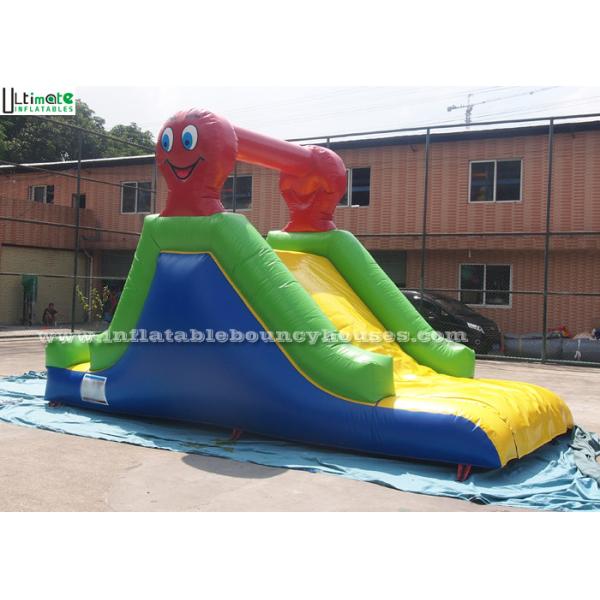 Custom Made Indoor Mini Commercial Inflatable Slides / Caterpillar Inflatable