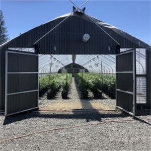 Cheap Medical Herbs Growing Large Blackout Automation Greenhouse Curtain Fabric