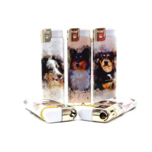 China ISO9001 Certification Custom Cigarette Butane Gas Plastic Electric Disposable Lighter wholesale