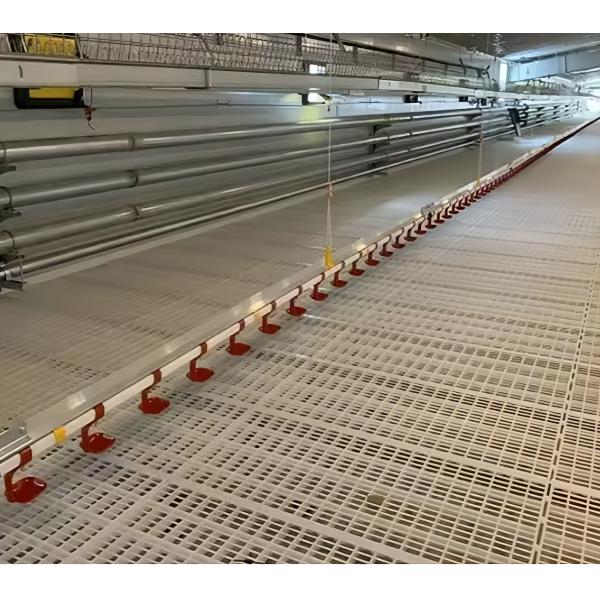 Automatic Battery Egg Layer Cages , Chicken Laying Hens Cage Poultry Farming Equipment