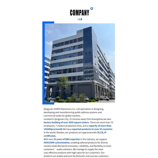 OEM/ODM Top Quality Iron Sound Elegant Design 6 Inch Ceiling Speaker