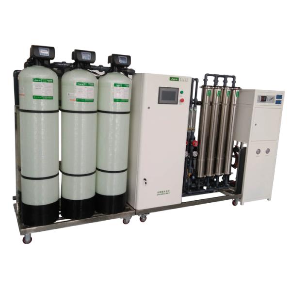 500LPH 2000LPH 10TLPH Double Pass RO System EDI Water Plant