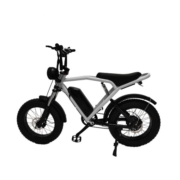 1460*320*840mm REMOVABLE BATTERY Hot E-Bike Fat Tire Mountain Bike Electric Bicycle