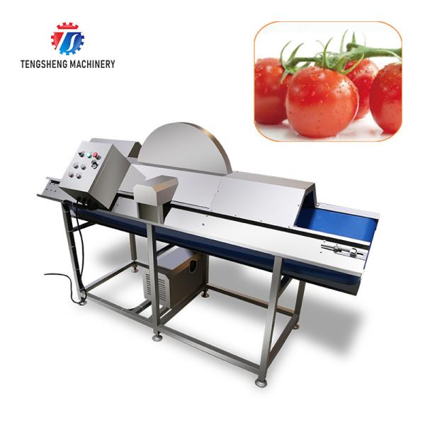 Multifunctional Vegetable Cutting Half Machine 2000KG/H Kitchen Processing