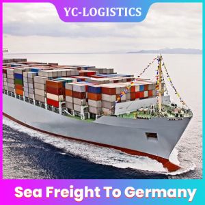 China Thursday Departure FBA FTW1 Sea Freight Forwarding Services on sale