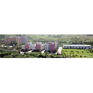 FUjian Donglian Vehicle Fittings Co., Ltd.