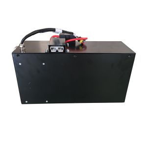 China 20AH 48V Lithium Golf Cart Battery AGV Battery Pack wholesale