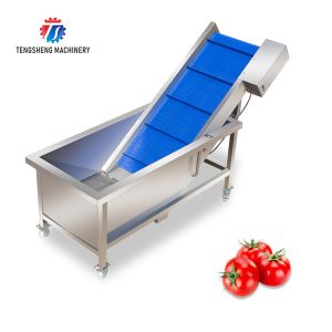 2pcs/Min Industrial Vegetable Processing Machine Automatic Elevator Food