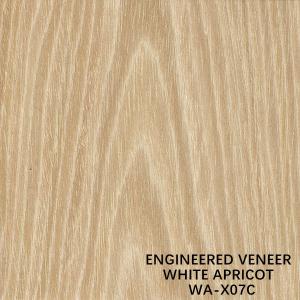 China Natural Apricot X07C Crown Cut Man Made Wood Veneer For Face Veneer Of Door / Cabinet on sale