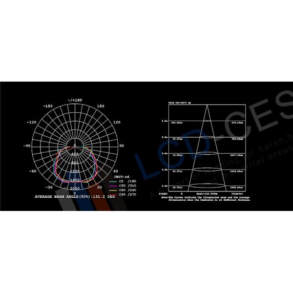220V LED Security Flood Light