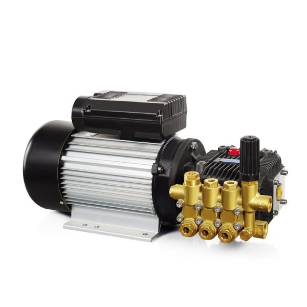 POWERJET LM-BM-DS High pressure mist fog machine brass plunger pump motor unit 100bar 1L/min