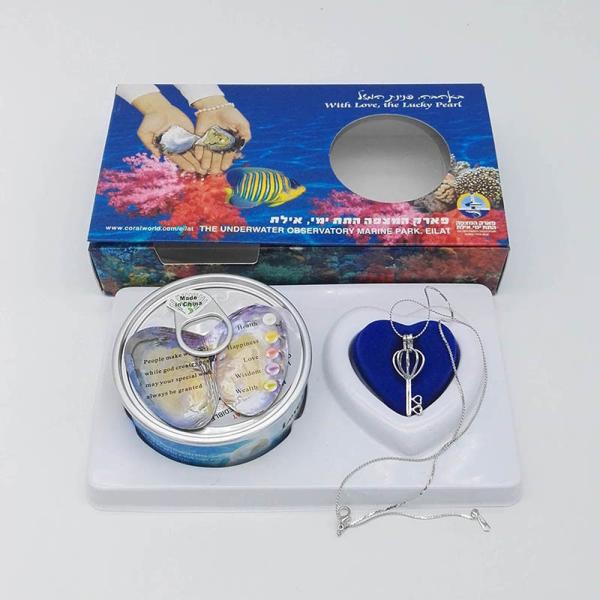 Custom Color Box Love Wish Pearl Necklace Gift Box With can Open Cage Pendant sending to everybody