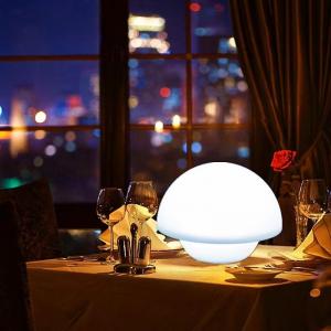 China Mushroom Design Glow Table Lamp Rechargeable 4100K Neutral White wholesale