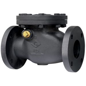 ANSI Rustproof Cast Iron Swing Check Valve , Hydraulic Swing Check Valve Flanged