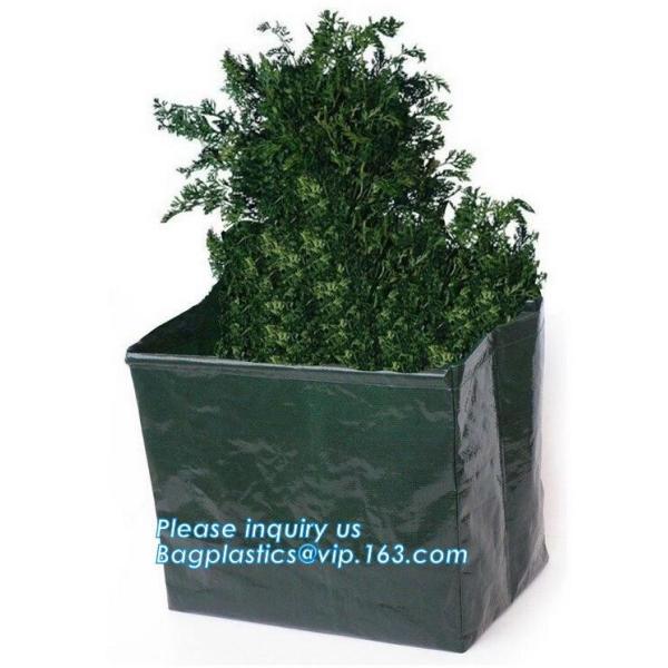 customized waterproof green pe car protector,environmental firendly, car boot liner, reusable, durable,economical,sample