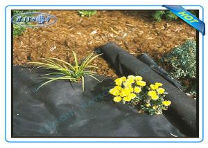 China Anti UV Agriculture Non Woen Cover Weed Control Fabric wholesale