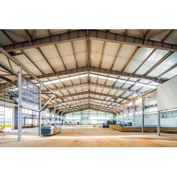 Prefabricated Steel Frame Warehouse Construction Large Metal Sheds Workshops Custom