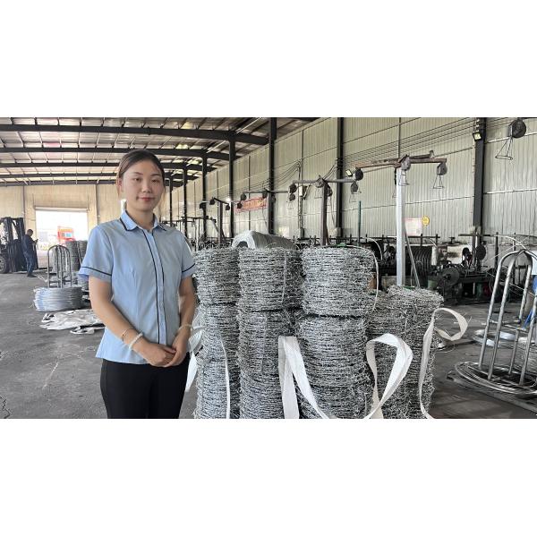 Hot Dipped Galvanized Fencing High Tensile Barbed Wire 1.6Mm 300M