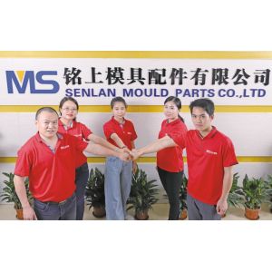 Senlan Precision Parts Co.,Ltd.