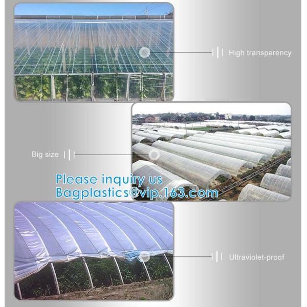 200 Micron Uv Resistant Film Greenhouse Perforated Mulch Agricultural Film Vegetable Planting