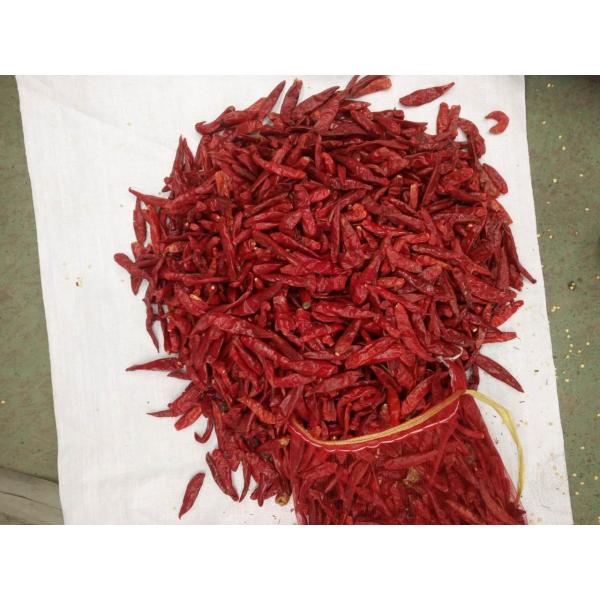 Guizhou Mantianxing Millet Pepper Dry Chili Hot Pot Seasoning Raw Material Spices