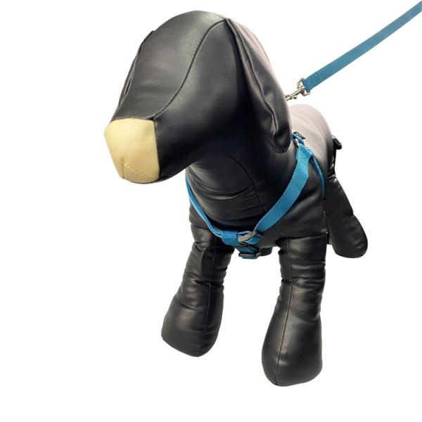 Padded Dog Harness Set Soft Durable No Pull Dog Harness Easy To Clean