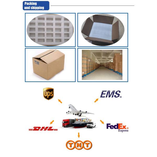 Adjustable Speed Electric Piston Pump PWM Brushless Low Noise Long Lifespan High Flow