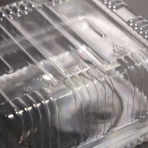 Rectangular PET Disposable Food Containers for Multiple Uses