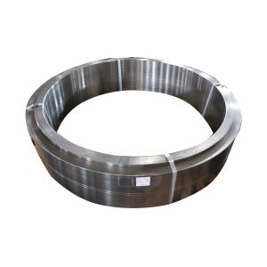 Q235 Q345b Forged Steel Retaining Ring Bearing Casted Lifting