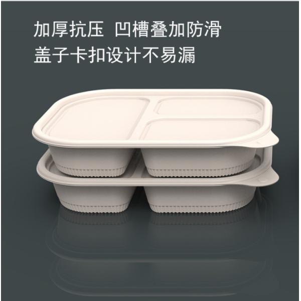 Disposable Degradable Cornstarch Irregular Four Compartment Food Containers