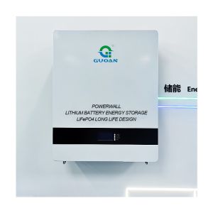 48V 10KWH Home Energy Powerwall Smart BMS LifePO4 Lithium Battery